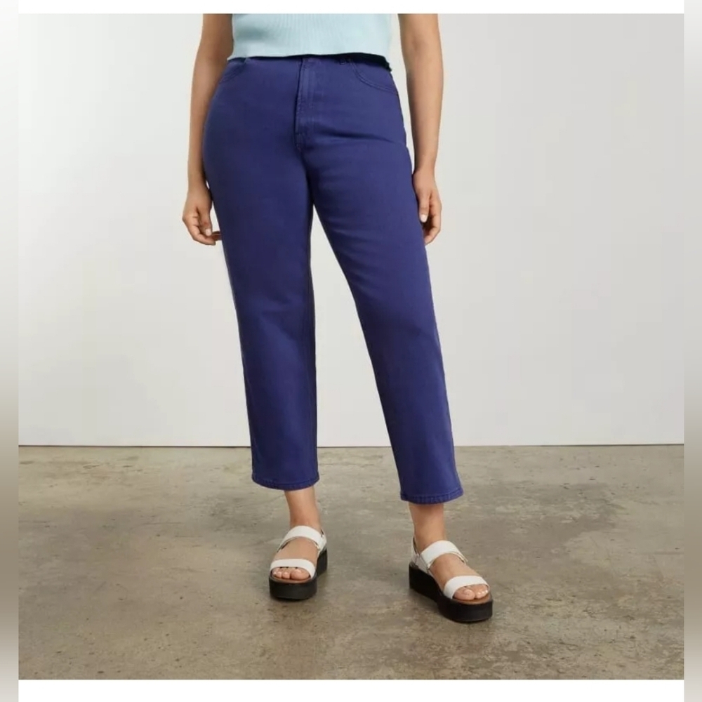 EVERLANE Womens 32 The Curvy Way-High Jean Blue Pants